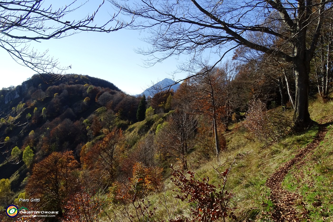 78 Caldi colori autunnali.JPG